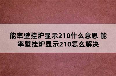 能率壁挂炉显示210什么意思 能率壁挂炉显示210怎么解决